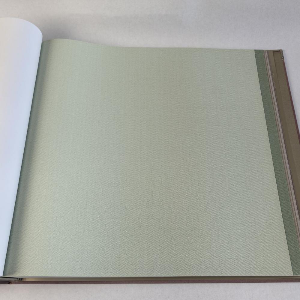 Alessandro Allori Bruni RBN 1002-36