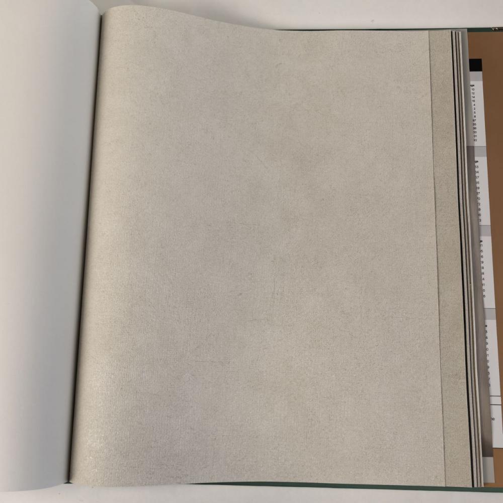 Alessandro Allori Argiano 15023-4