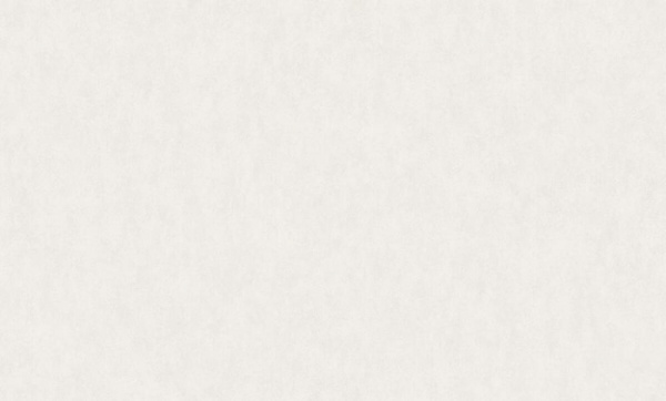 Rasch Bright Whisper W 190002