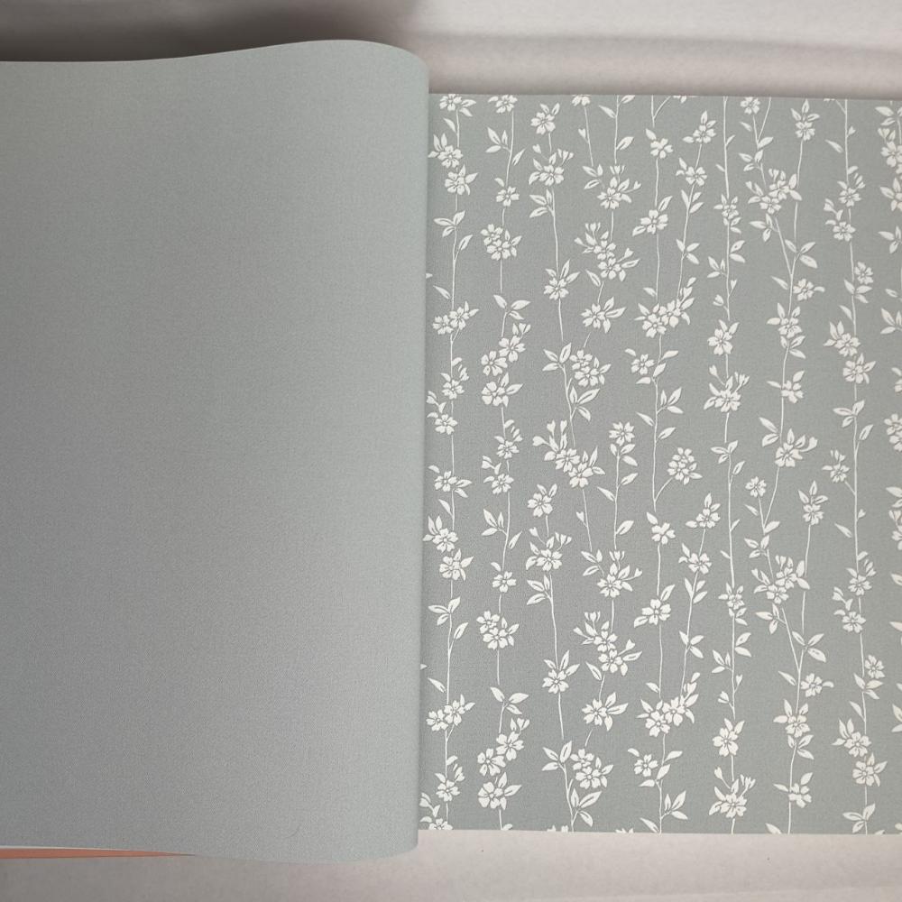 Andrea Rossi Berggi 54450-8