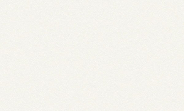 Rasch Bright Whisper W 189102