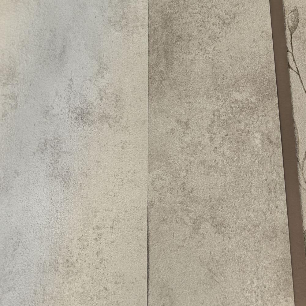 Alessandro Allori Argiano 15025-4