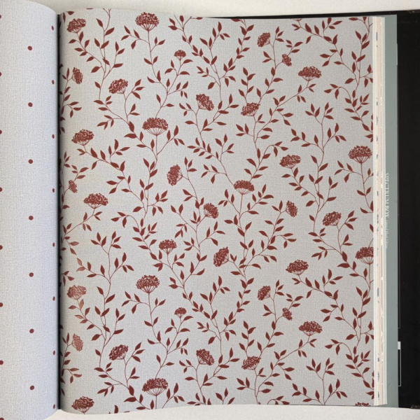 Andrea Rossi Spectrum Box 54456-6